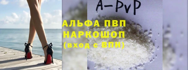 ГАЛЛЮЦИНОГЕННЫЕ ГРИБЫ Белокуриха