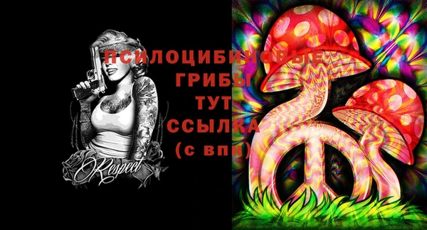 ГАЛЛЮЦИНОГЕННЫЕ ГРИБЫ Белокуриха