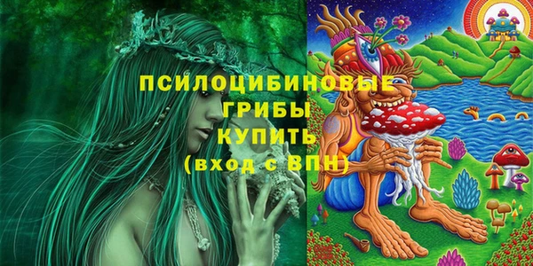 ГАЛЛЮЦИНОГЕННЫЕ ГРИБЫ Белокуриха