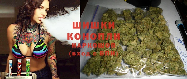 ГАЛЛЮЦИНОГЕННЫЕ ГРИБЫ Белокуриха