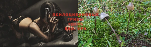 ГАЛЛЮЦИНОГЕННЫЕ ГРИБЫ Белокуриха