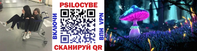 Галлюциногенные грибы Psilocybe  закладки  Белый 